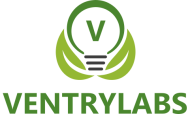 VentryLabs Custom Software Logo